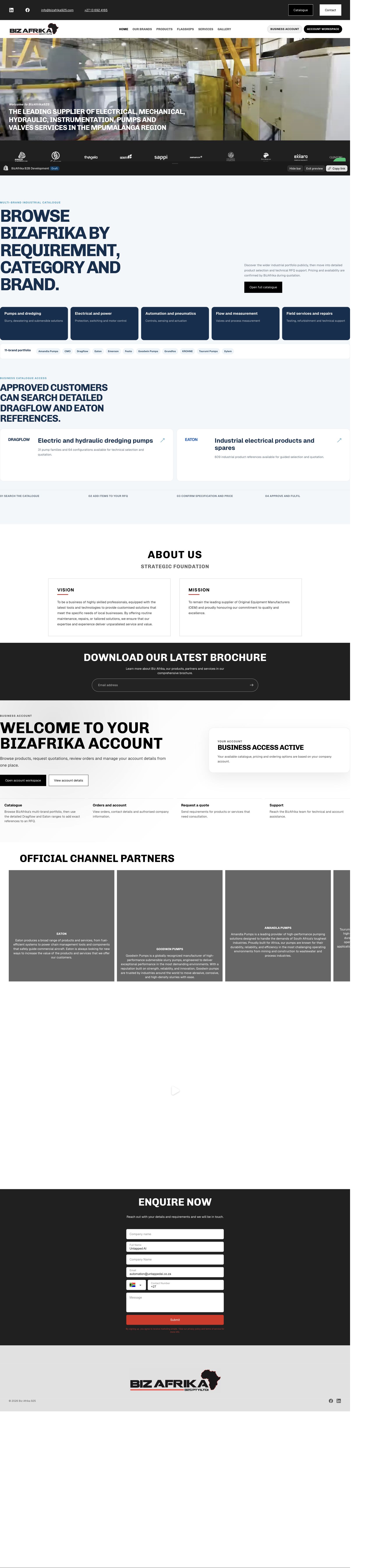 BizAfrika development homepage preview